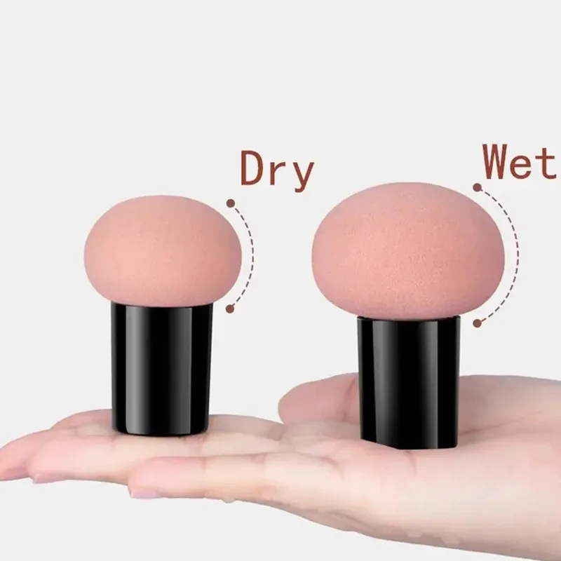 Губка для макияжа с грибовидно – обзор и цена Beauty Makeup Tools Use